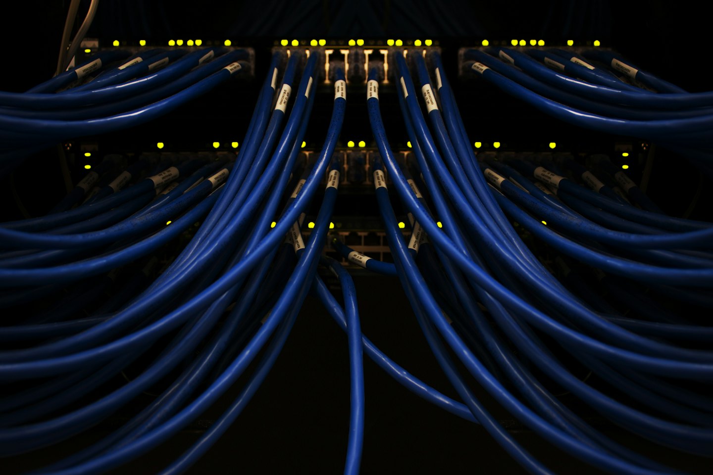 Cabluri de rețea albastre conectate la porturi de server cu lumini galbene.